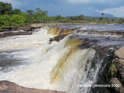 00-0-Copr_2006-GR_Canaima_06t.jpg